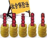 專業(yè)社保代理代辦服務 為企業(yè)與個人提供全方位社保解決方案